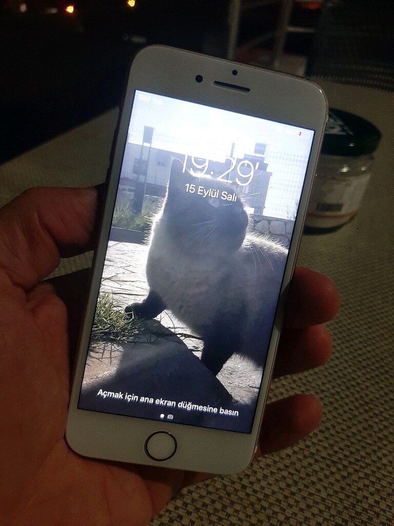 İPHONE 7 ROSE 32 GB - 4