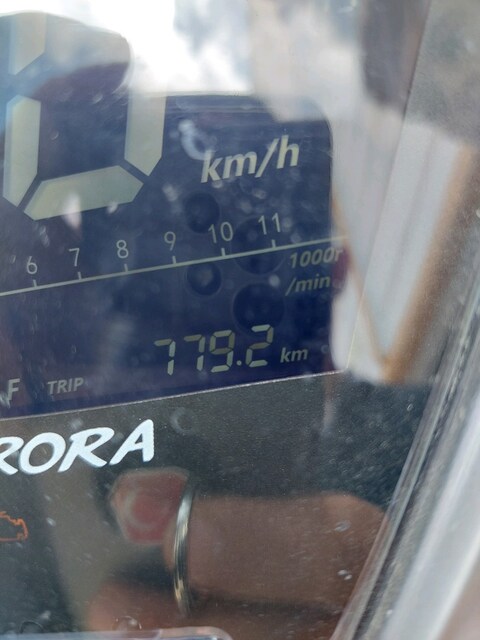 Arora Leader 50 Limited Edition