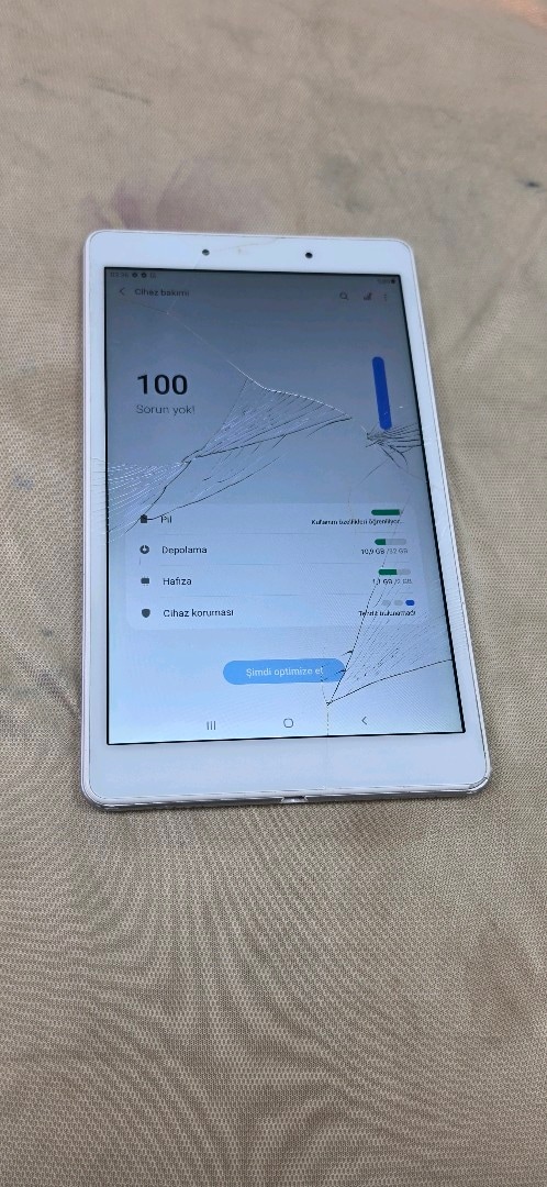 Samsung Galaxy Tab T 290 Cam Catlak - 4