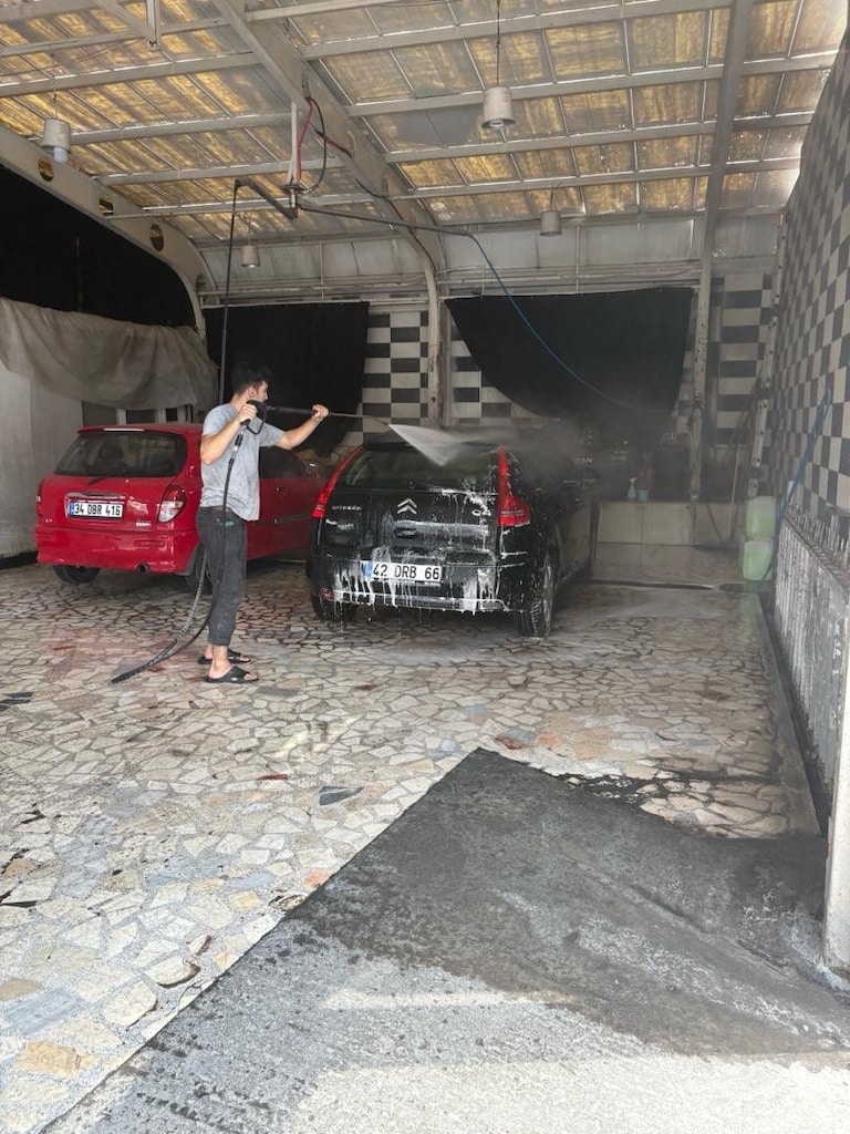 citrion bakımlı 110 hp - 7