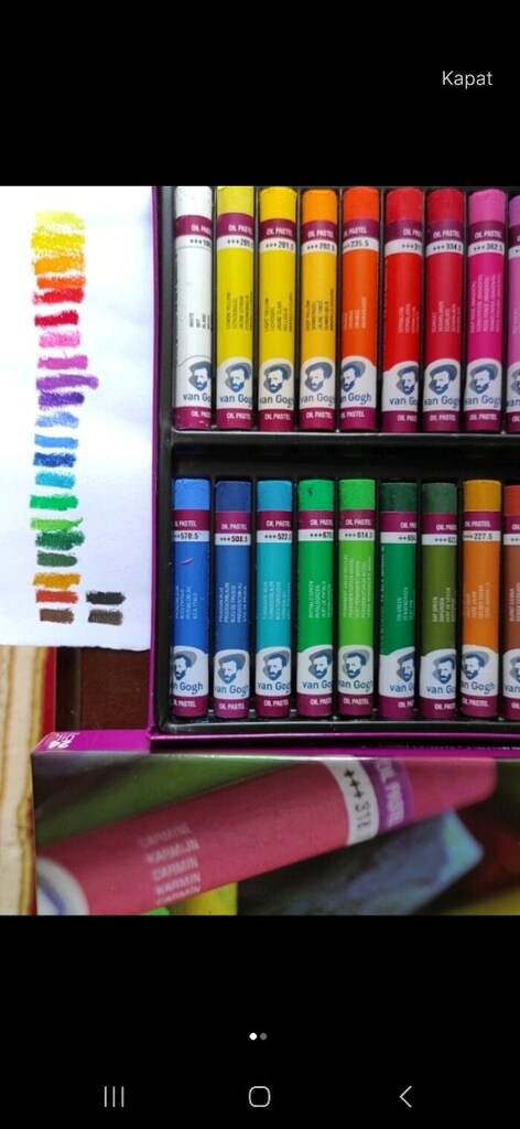 vagogh 24 lü yağlı pastel