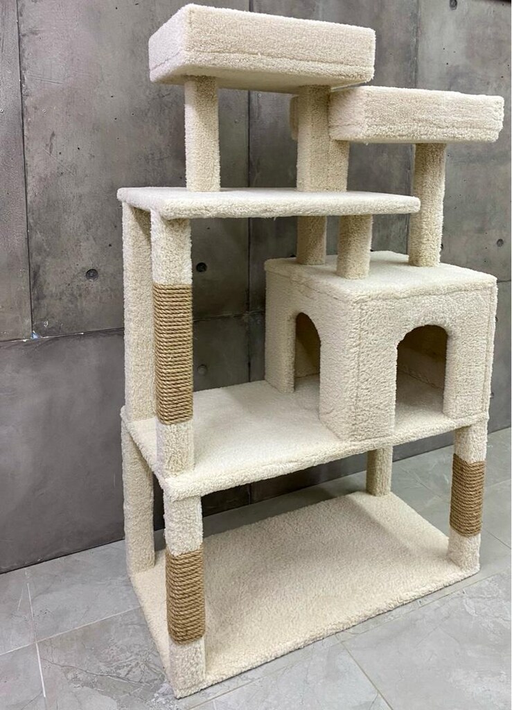 kedi evi - 3