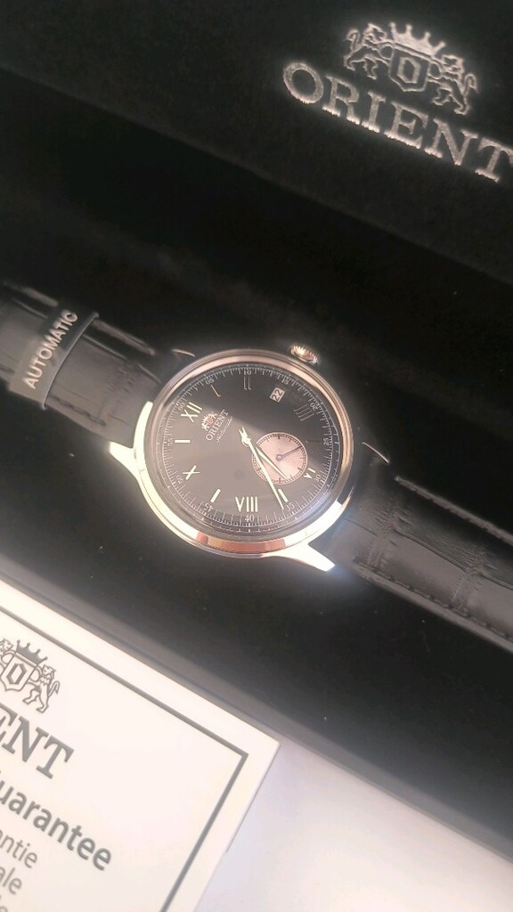 Orient Bambino - 4