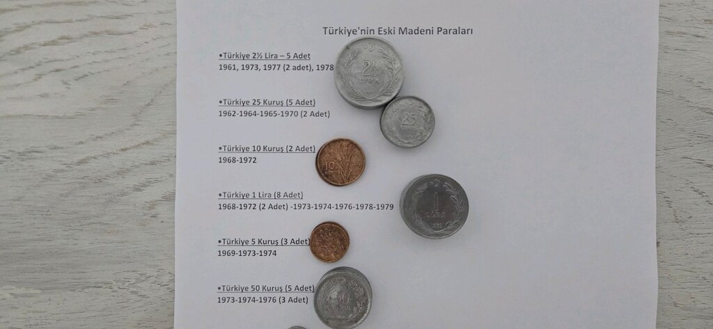 105 Adet Türkiye Eski Madeni Para Koleksiyonu – 1961-2019 - 2