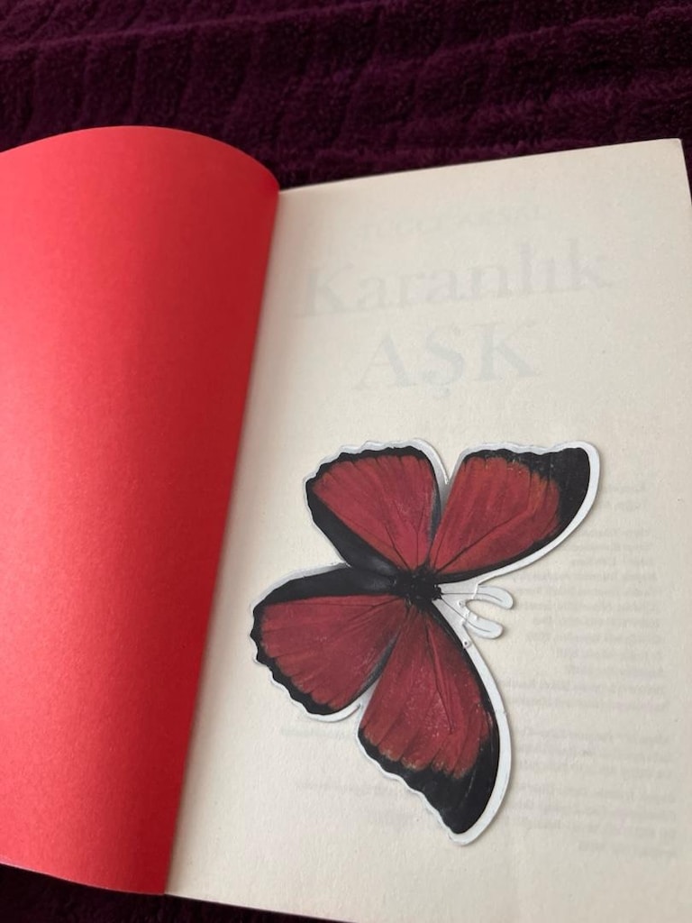 karanlık aşk serisi Tuğçe aksal iki kitap - 2