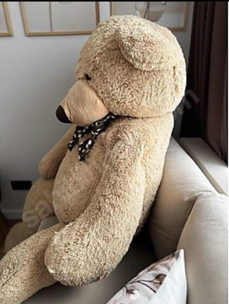 Peluş Ayıcık - 5