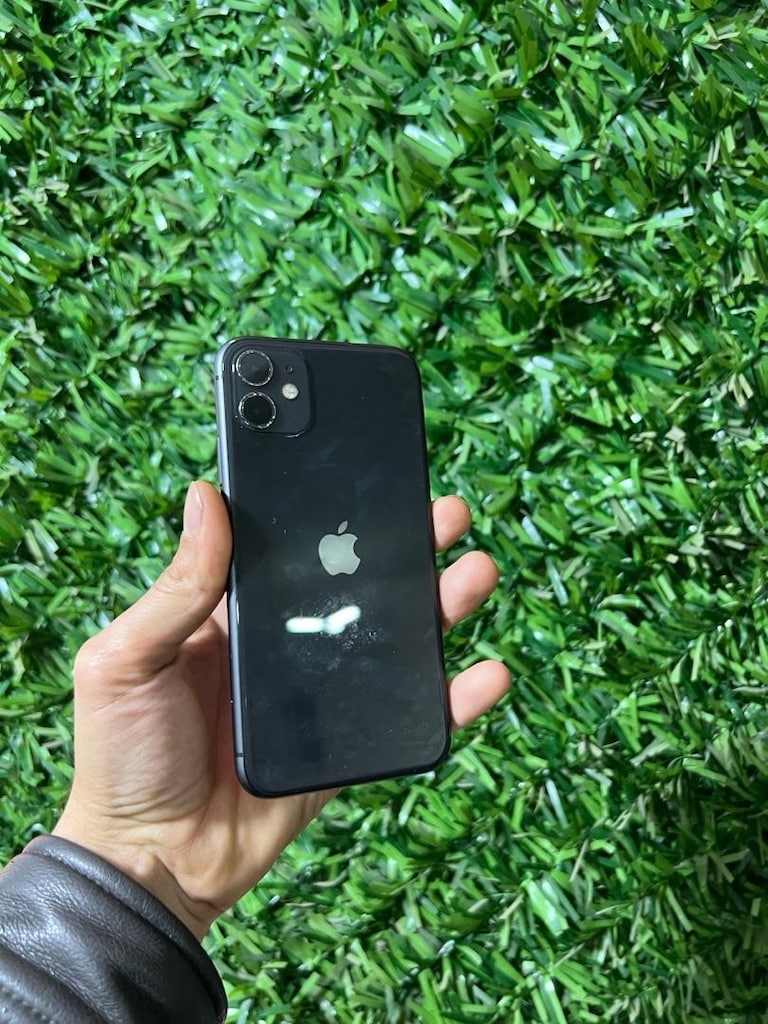APPLE 11 - 2