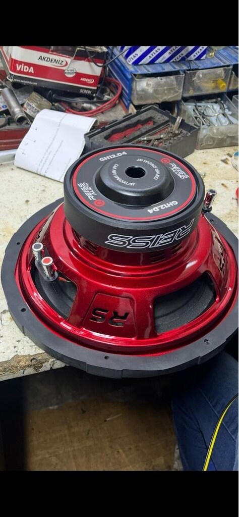 Reiss GH12.D4 Oto Bass Subwoofer - 3