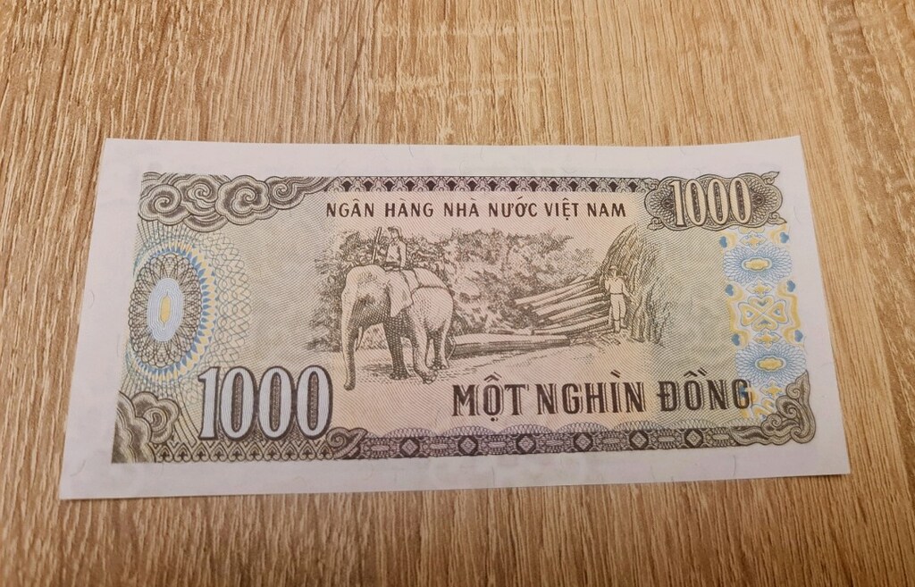 VİETNAM DONG PARASI ÇİL KOLEKSİYONLUK - 2