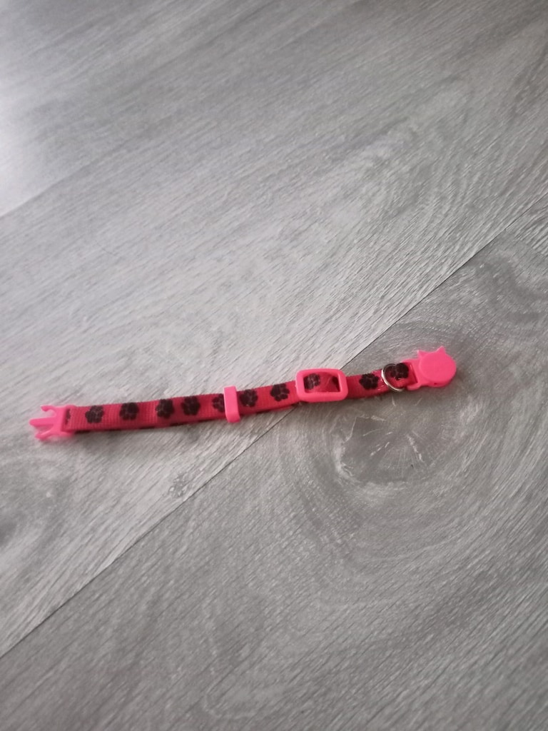 kedi boyun tasmasi ayarlanabilinir