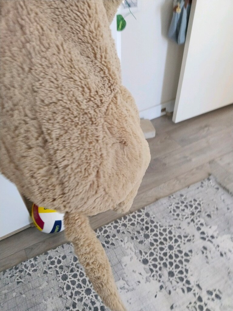 IKEA oyuncak köpek - 4