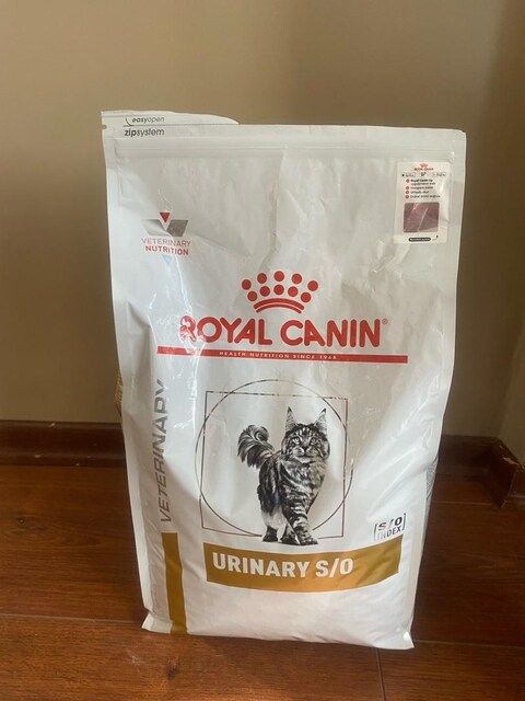 royal canin mama S/O