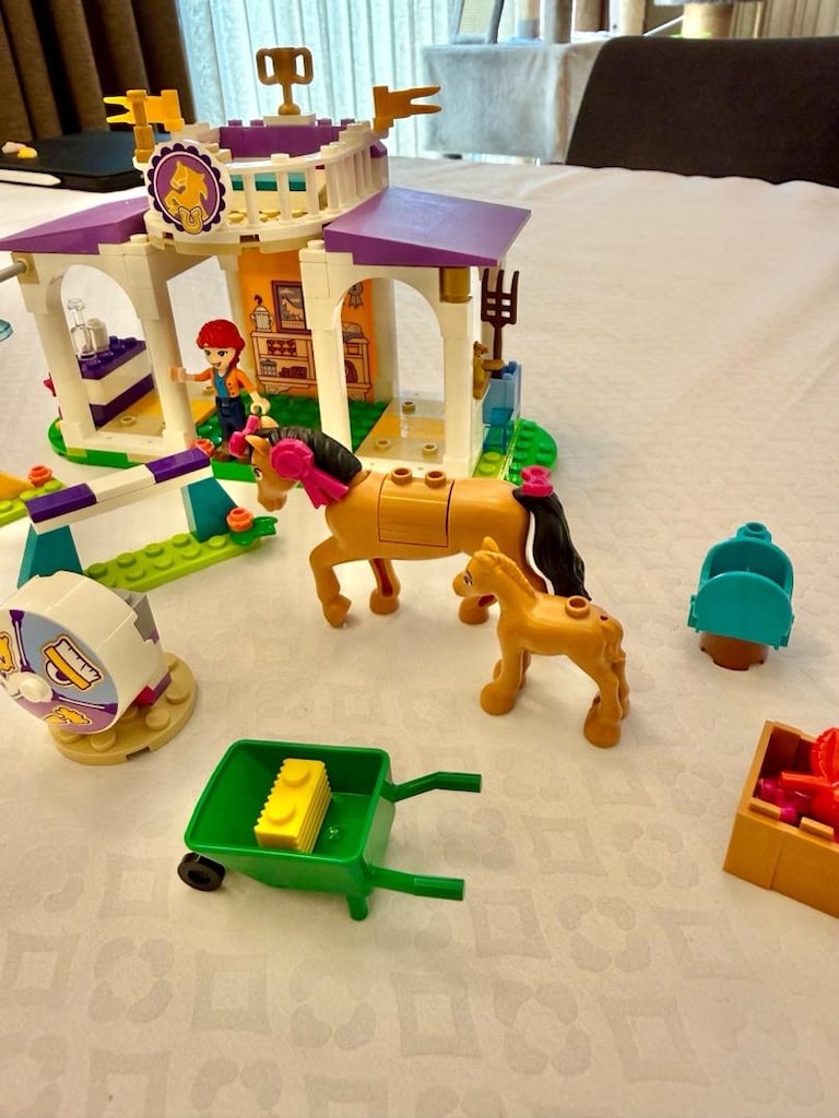 Lego Friends 41696 - 2