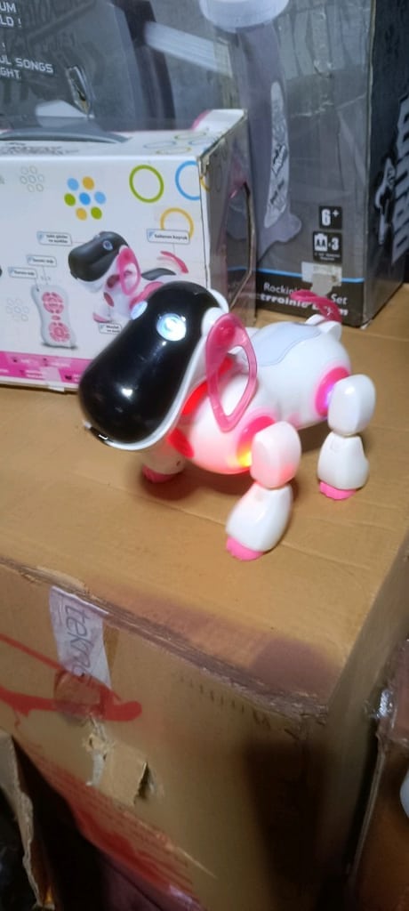 Akıllı Robot Köpek - 9