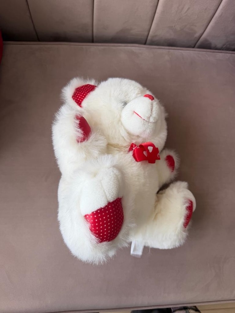 Peluş Ayıcık - 3