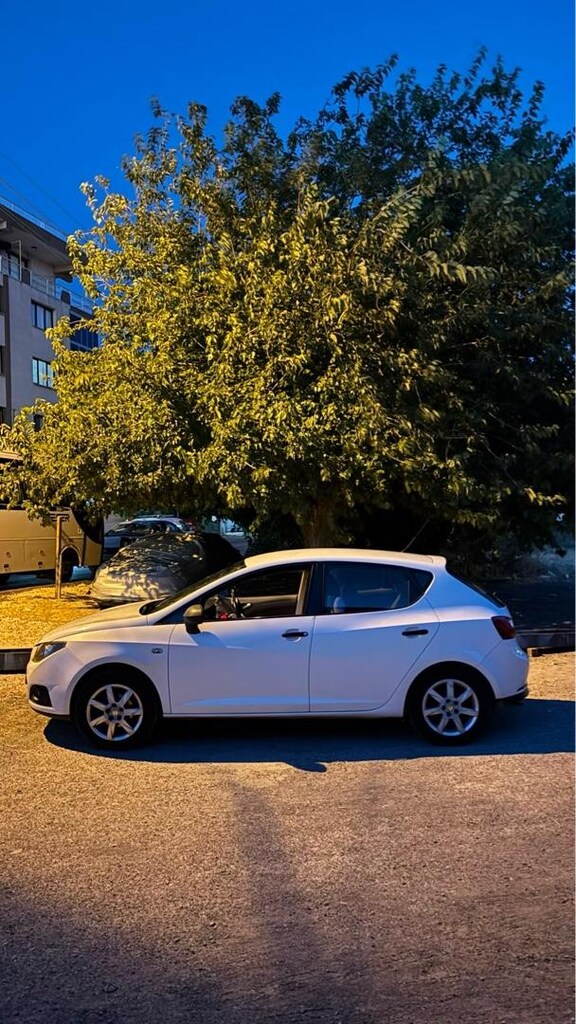 Temiz Seat ıbıza - 3