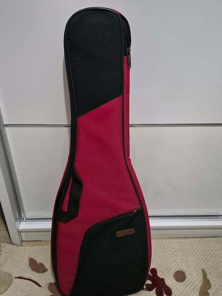 zappron marka Superstrat HH Elektro gitar - 5