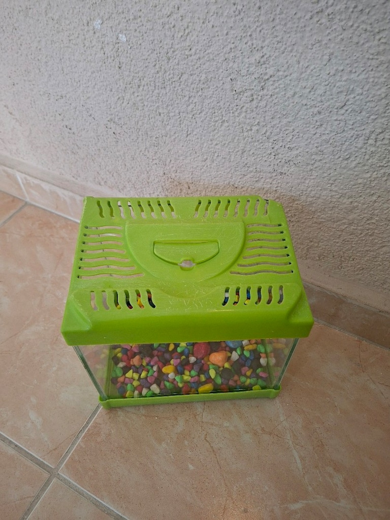 20 cm Akvaryum tasları ile birlikte - 2