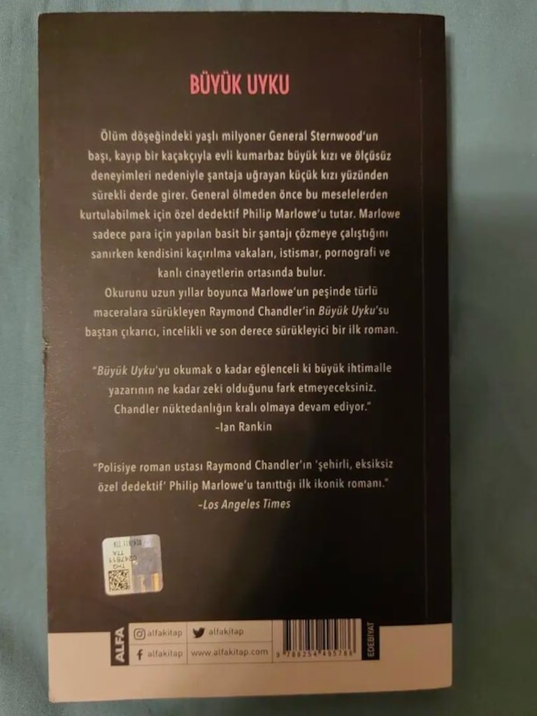 Büyük Uyku (Roman) - 2