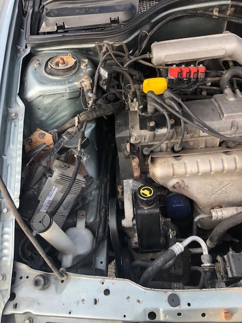 Renault 19