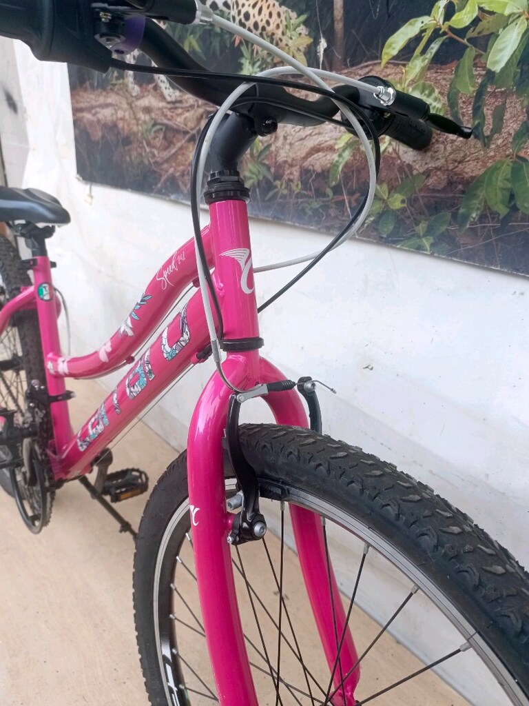 24" CANT CARRARO speed 242 KIZ BİSİKLETİ - 2
