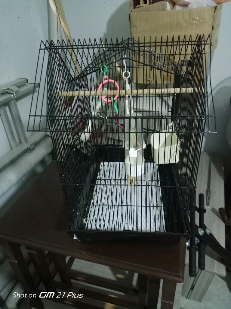 büyük boy kuş kafesi - 12