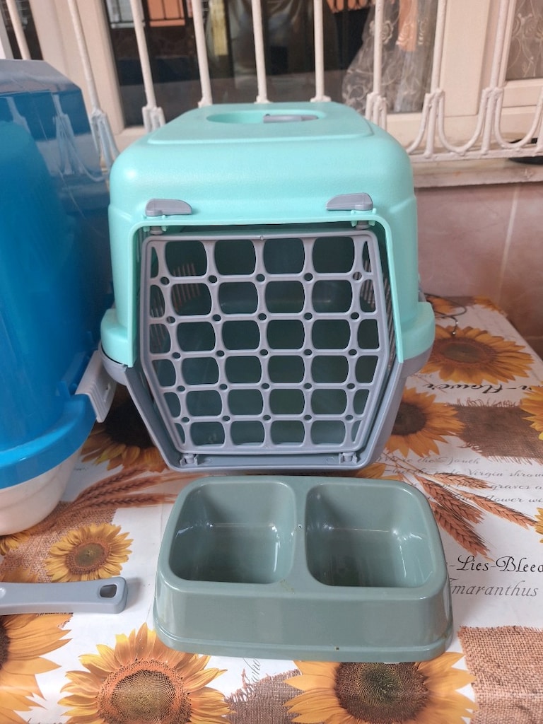 pet shop - 2
