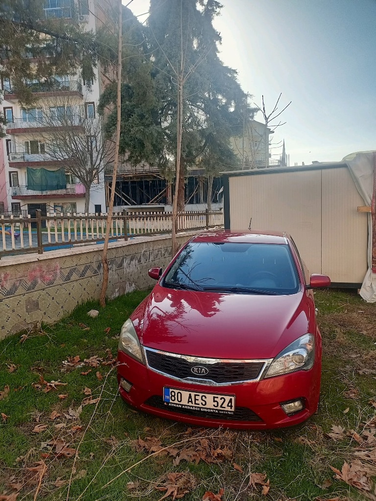 2011 gül orjinal hatasız - 2