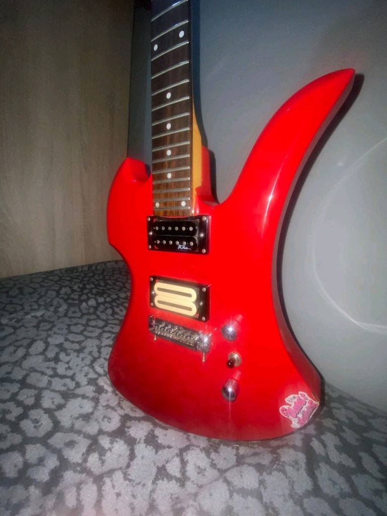 B.c. rich mockingbird - 2