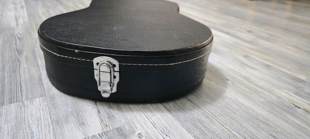 GEWA Les Paul Girtar Gard Case - 3