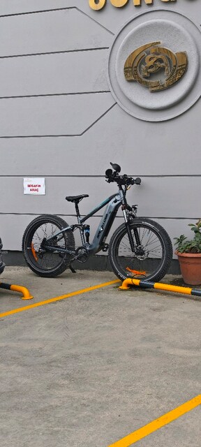 buffalo f e bike
