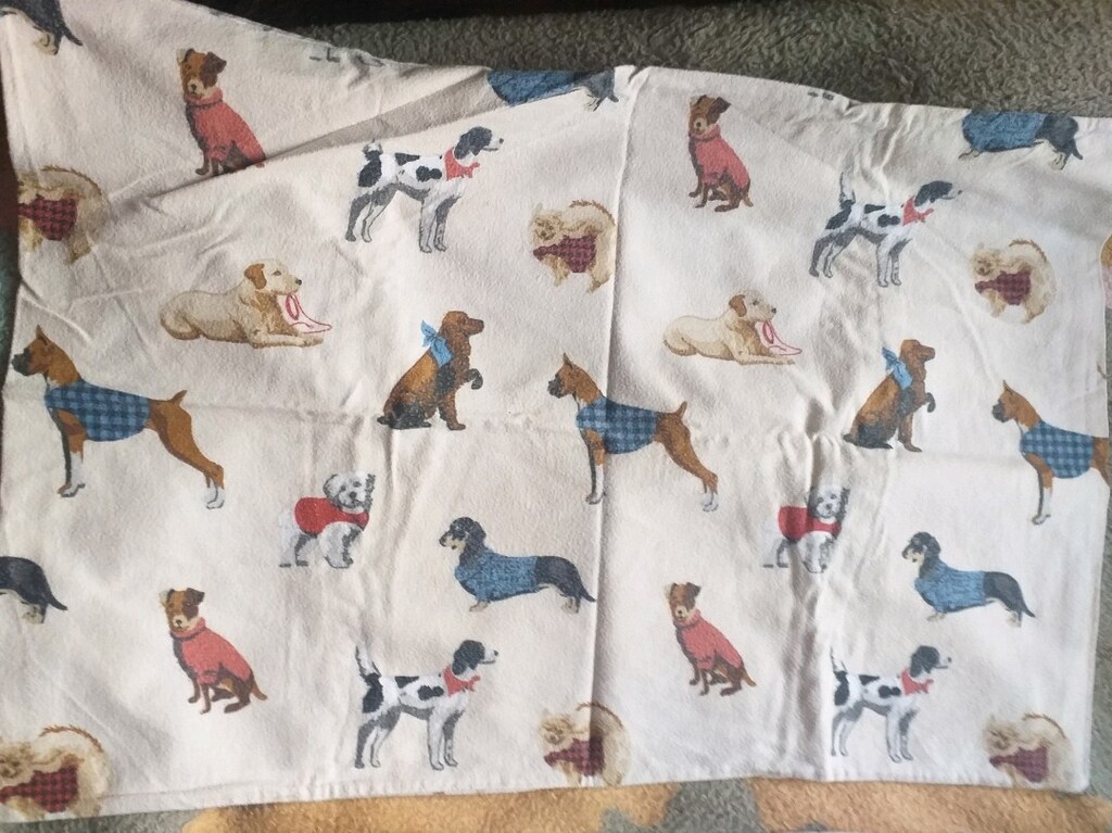 tek kişilik köpek resimli çarşaf ve yastık kılıfı - 5