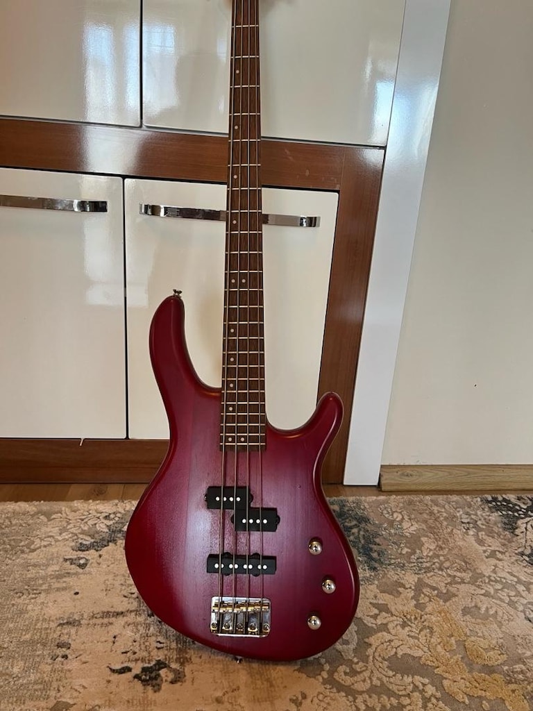Bas gitar/Gitar - 4