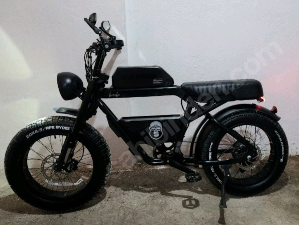 APE Ryder Bonobo (yurt dışı/off-road 750W versiyon Hidrolik disk fren - 2