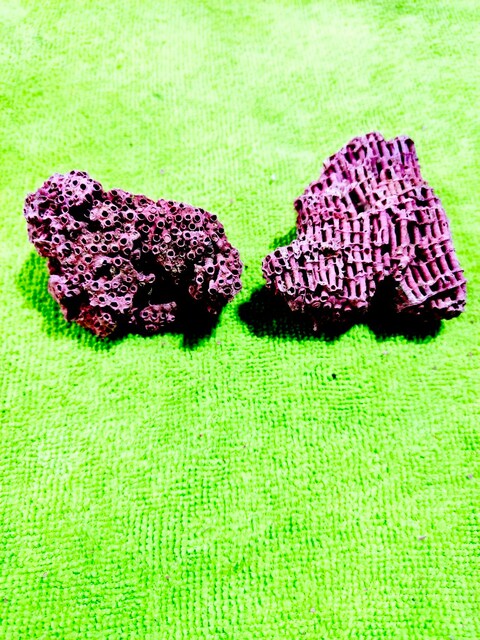 HAKİKİ DOĞAL KIRMIZI MERCAN 52 GR.2 PARÇA