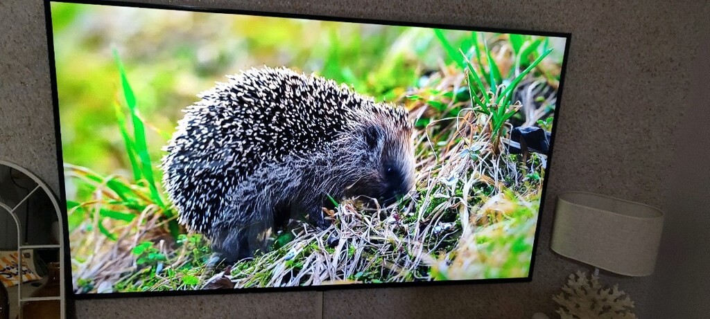 LG 2025 165 EKRAN - 6