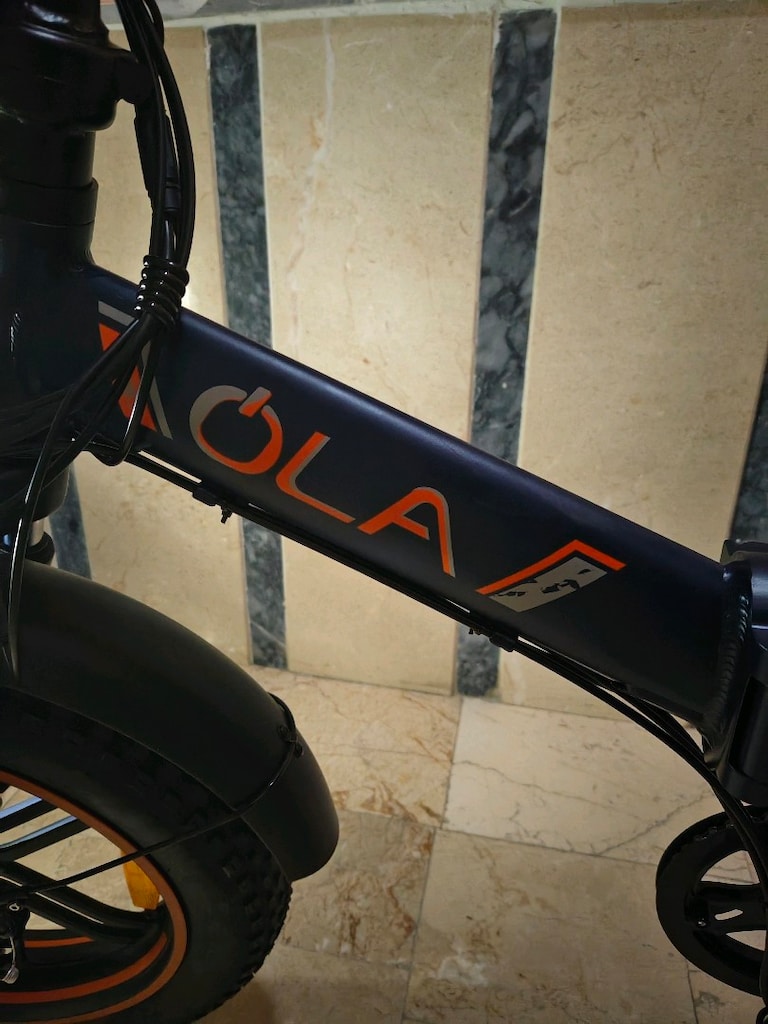 Ola Electrofold EFB7 Adventure 250 W Katlanabilir Elektrikli Bisiklet - 5