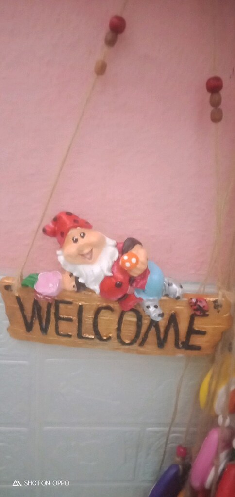 hobi bahçesi balkon veranda süsleri - 6