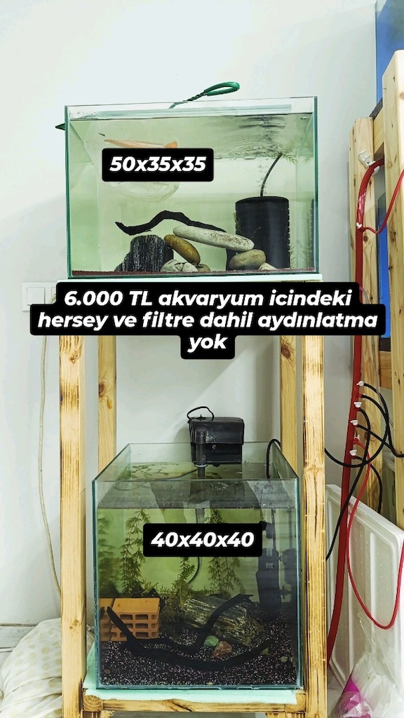 Komple Akvaryum Set Takas Olur - 4