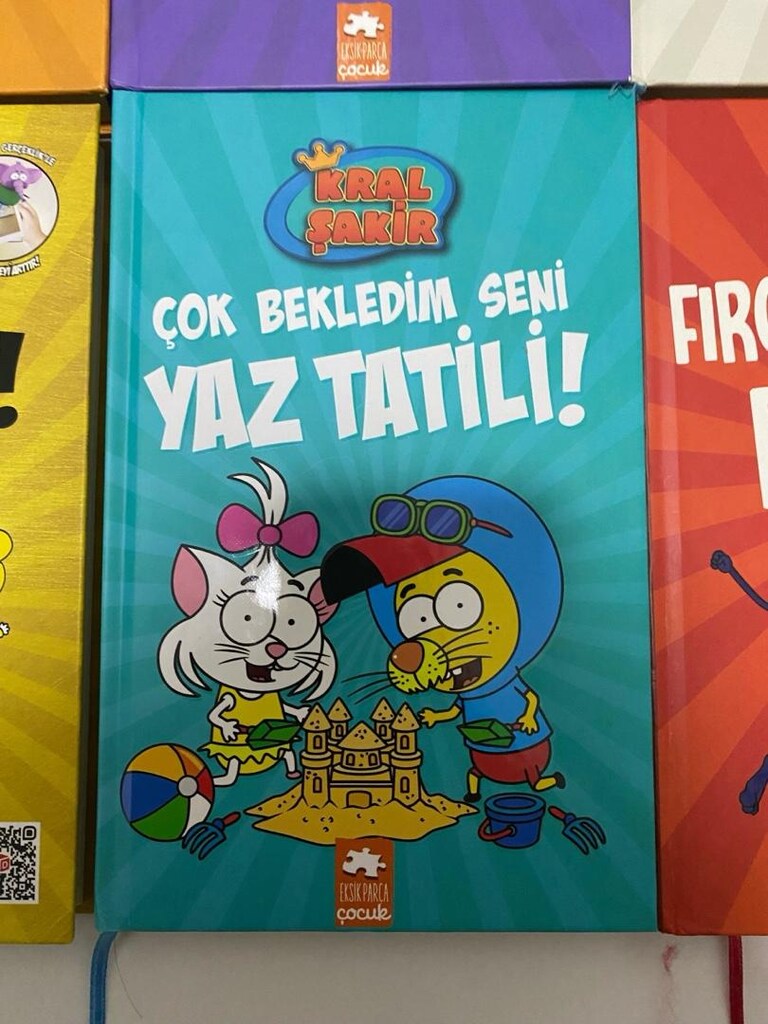 SIFIR ORIJINAL Kral Şakir kitapları 1-11 (Tane fiyatı) - 16