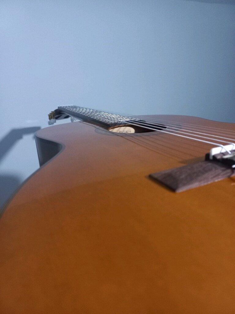 Yamaha Klasik Gitar - 8