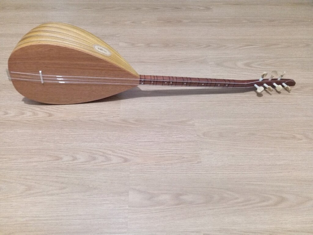 40 TEKNE DUT AĞACI KISA SAP ORTA ÜSTÜ KALİTE BAĞLAMA - 4