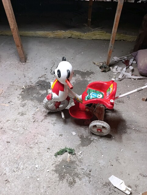 panda bisiklet