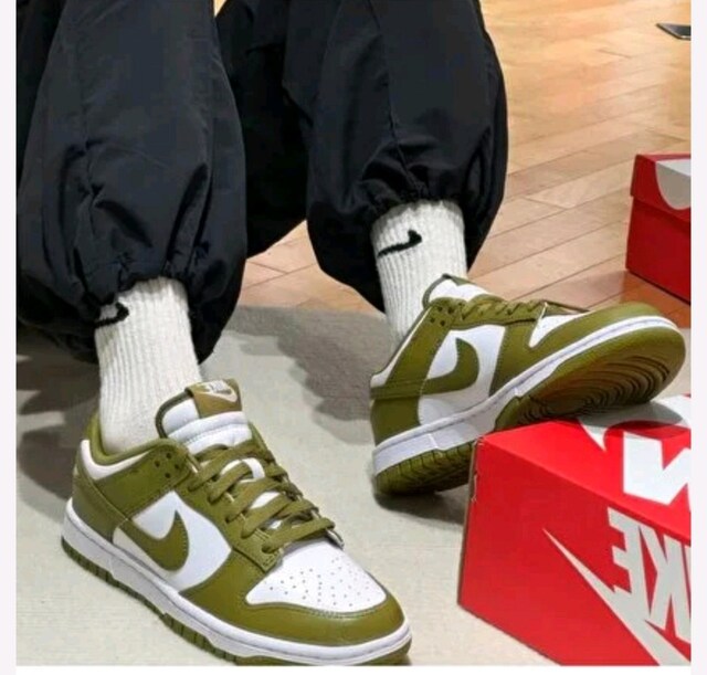 Nike Dunk low 40.5