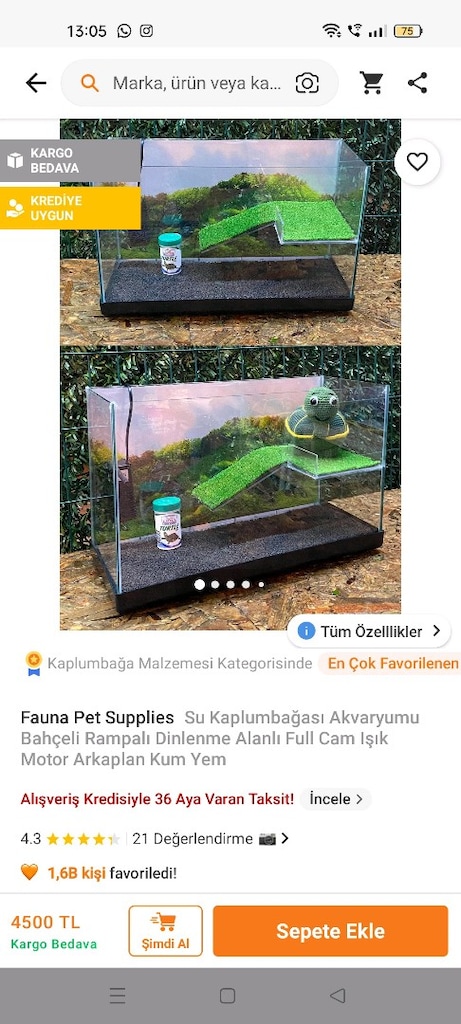 Rampalı kaplumbağa akvaryumu