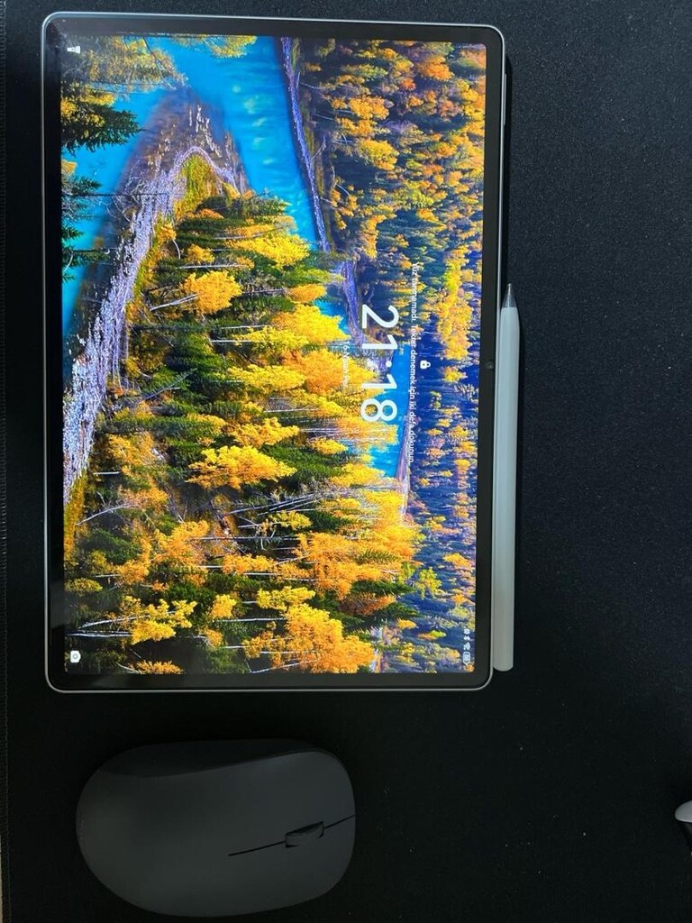 HUAWEİ MATEPAD 12x PAPERMATTE EKRAN - 4