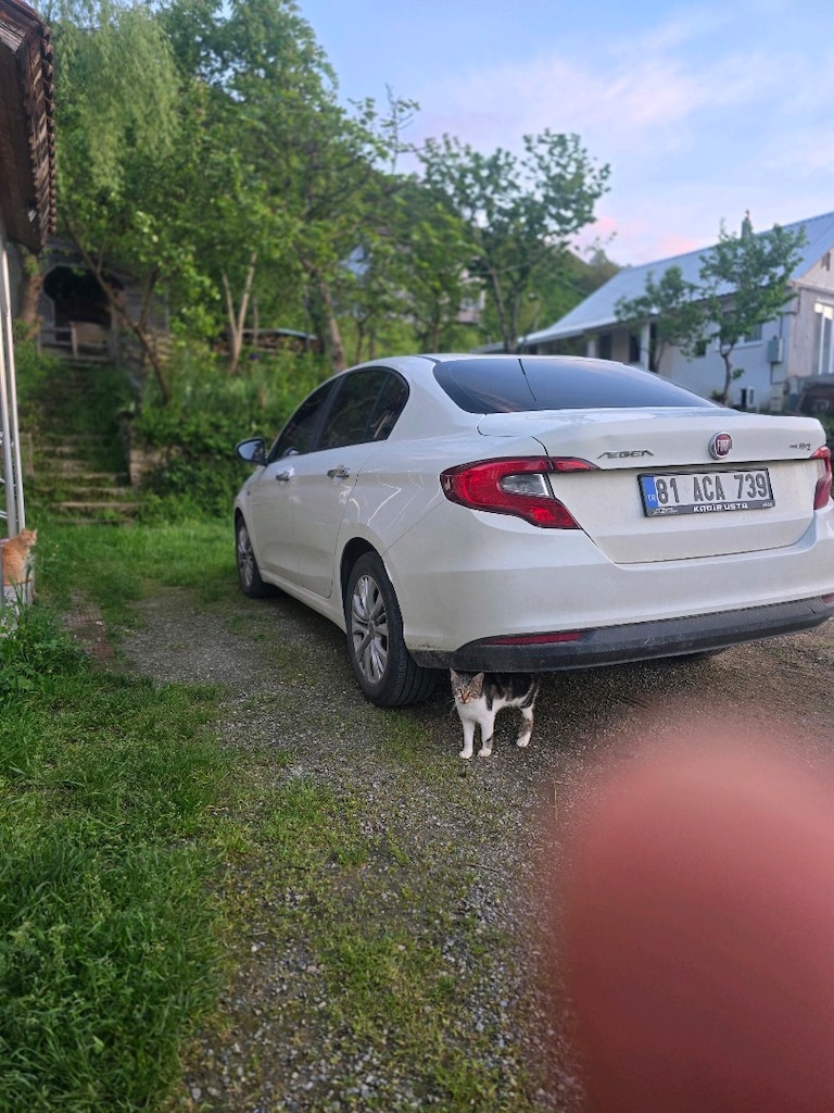 2017 FİAT EGEA 1.6 MULTİJET COMFORT OTOMATİK VİTES - 19