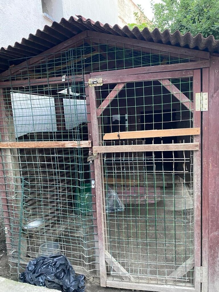 köpek kulübesi - 4