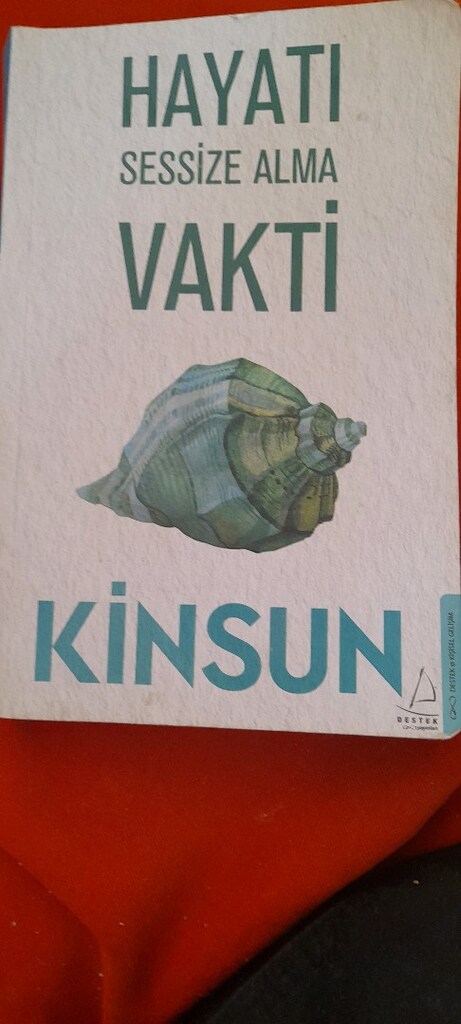 İLETİŞİM DONANİMLARİ, DOĞAN CÜCELOGLU, HAYATI SESSİZE ALMA, KİNSUN - 4