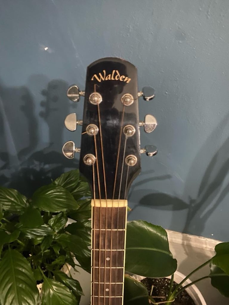 Akustik Gitar - 2